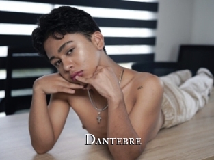 dantebre cams