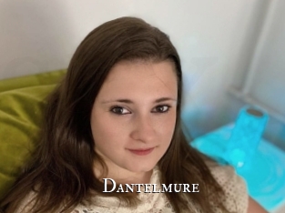 Dantelmure
