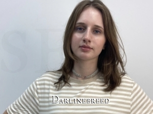 Darlinebreed