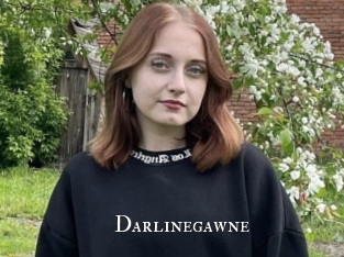 darlinegawne cams