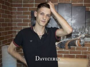 Davecerus
