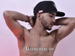 David_harlow