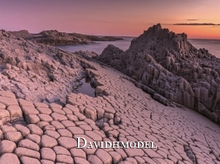 Davidhmodel