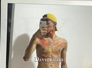 davidlaidd cams
