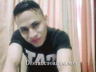 Destructordealmas