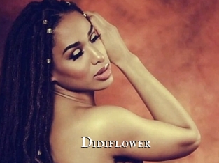 Didiflower