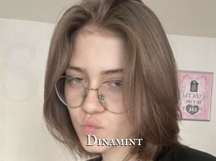 Dinamint