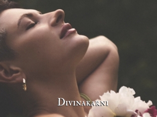 Divinakarni