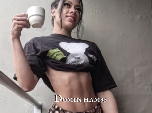 Domin_hamss