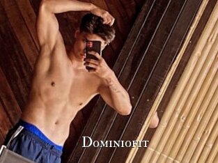 Dominiofit