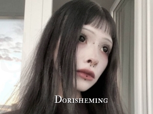 dorisheming cams