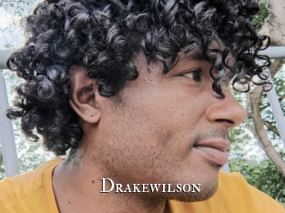 drakewilson cams
