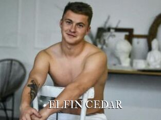 ELFIN_CEDAR