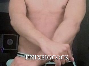 ENIXBIGCOCK