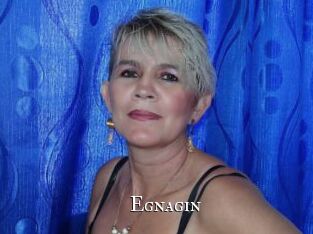 Egnagin