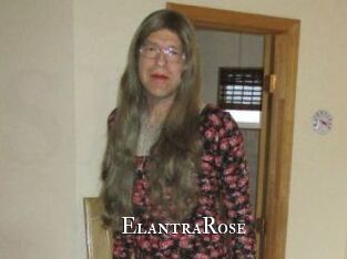 Elantra_Rose