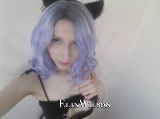 ElinWilson cams