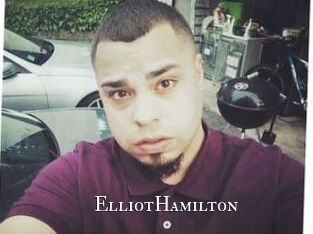 Elliot_Hamilton cams