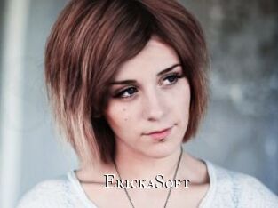 ErickaSoft