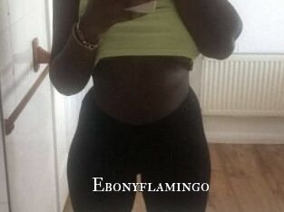 Ebony_flamingo