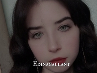 edinagallant cams