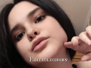 Editagleghorn