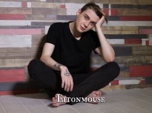 Eitonmouse