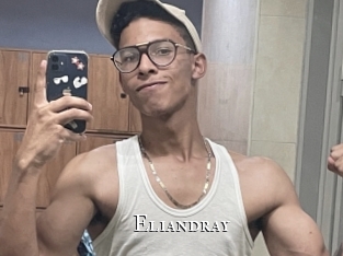 eliandray cams
