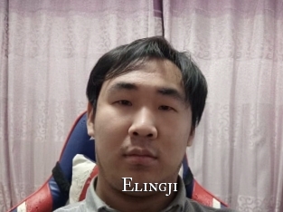 elingji cams