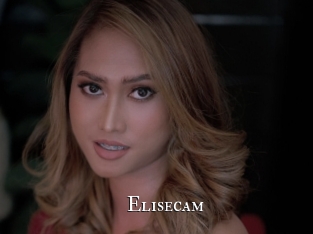 Elisecam