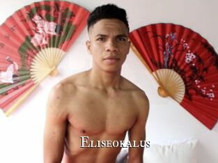eliseokalus cams