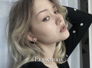 Elvacherie