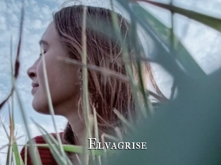 elvagrise cams