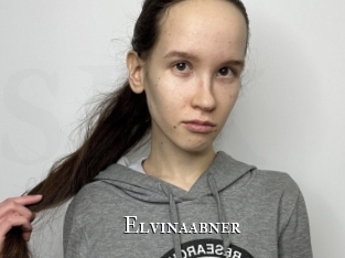 Elvinaabner