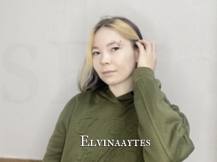 Elvinaaytes