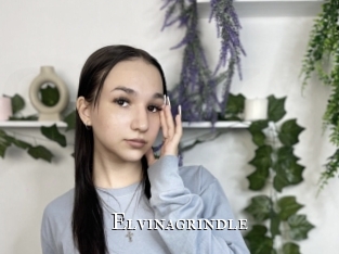 Elvinagrindle