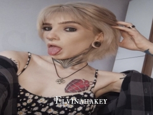 elvinahakey cams