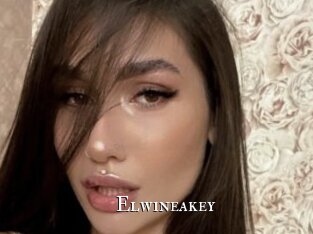 Elwineakey