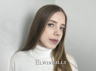 elwineally cams