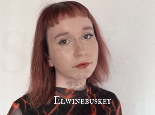 Elwinebuskey
