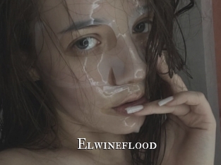 elwineflood cams