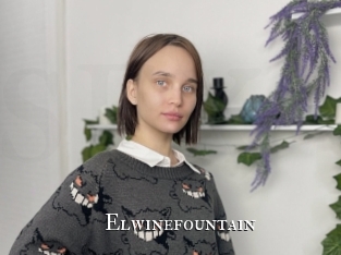 Elwinefountain