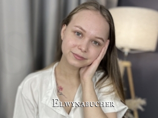 elwynabucher cams