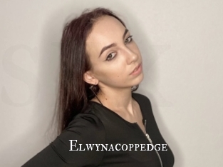 Elwynacoppedge