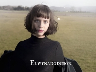 Elwynadodgson