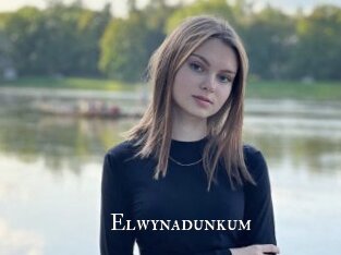Elwynadunkum