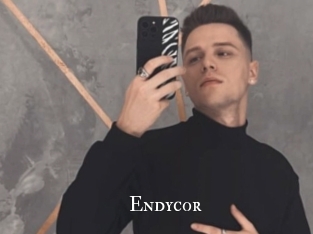 Endycor