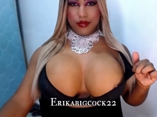 erikabigcock22 cams