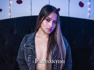 Erinsantini
