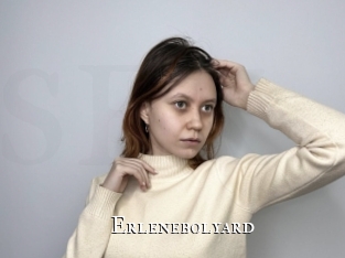 Erlenebolyard